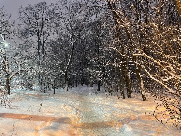 Кудрявцев_Никита